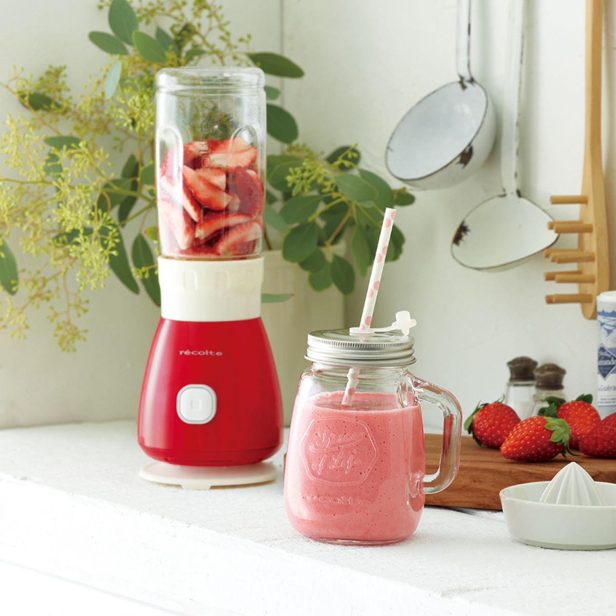 récolte Solo Blender Solen RSB-3(R)