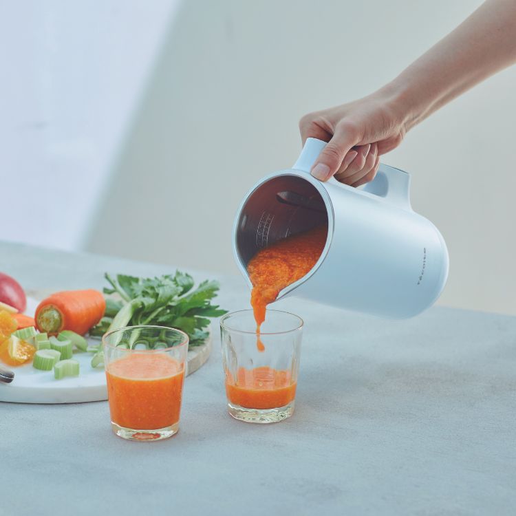 récolte Multi-functional Food Processor RSY-HK21(CB)